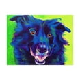 thumbnail image 1 of Trademark Fine Art 'Border Collie Viktor' Canvas Art by DawgArt, 1 of 3