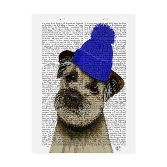 Trademark Fine Art 'Border Terrier with Blue Bobble Hat' Canvas Art by Fab Funky
