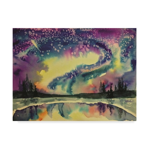 Trademark Fine Art 'Borealis Over Lake' Canvas Art by Wendra