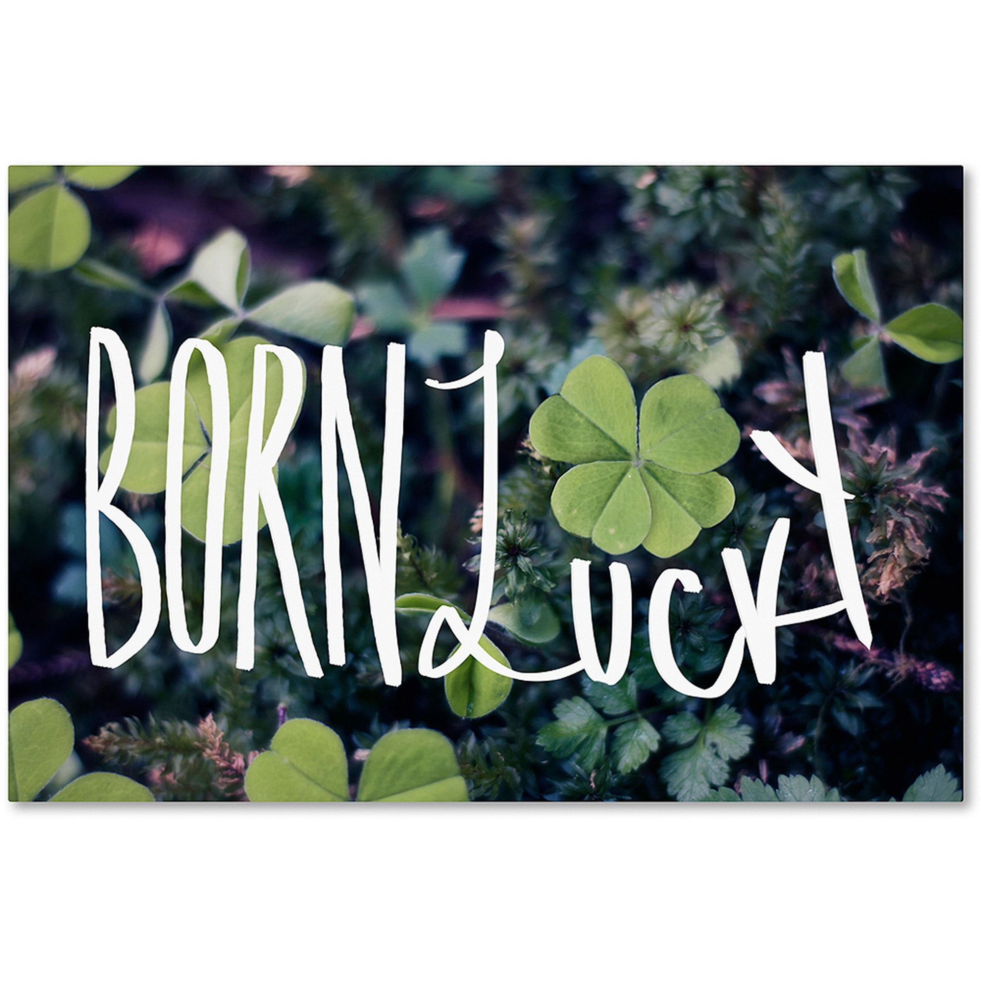 Trademark Fine Art "Born Lucky" Canvas Art by Leah Flores
