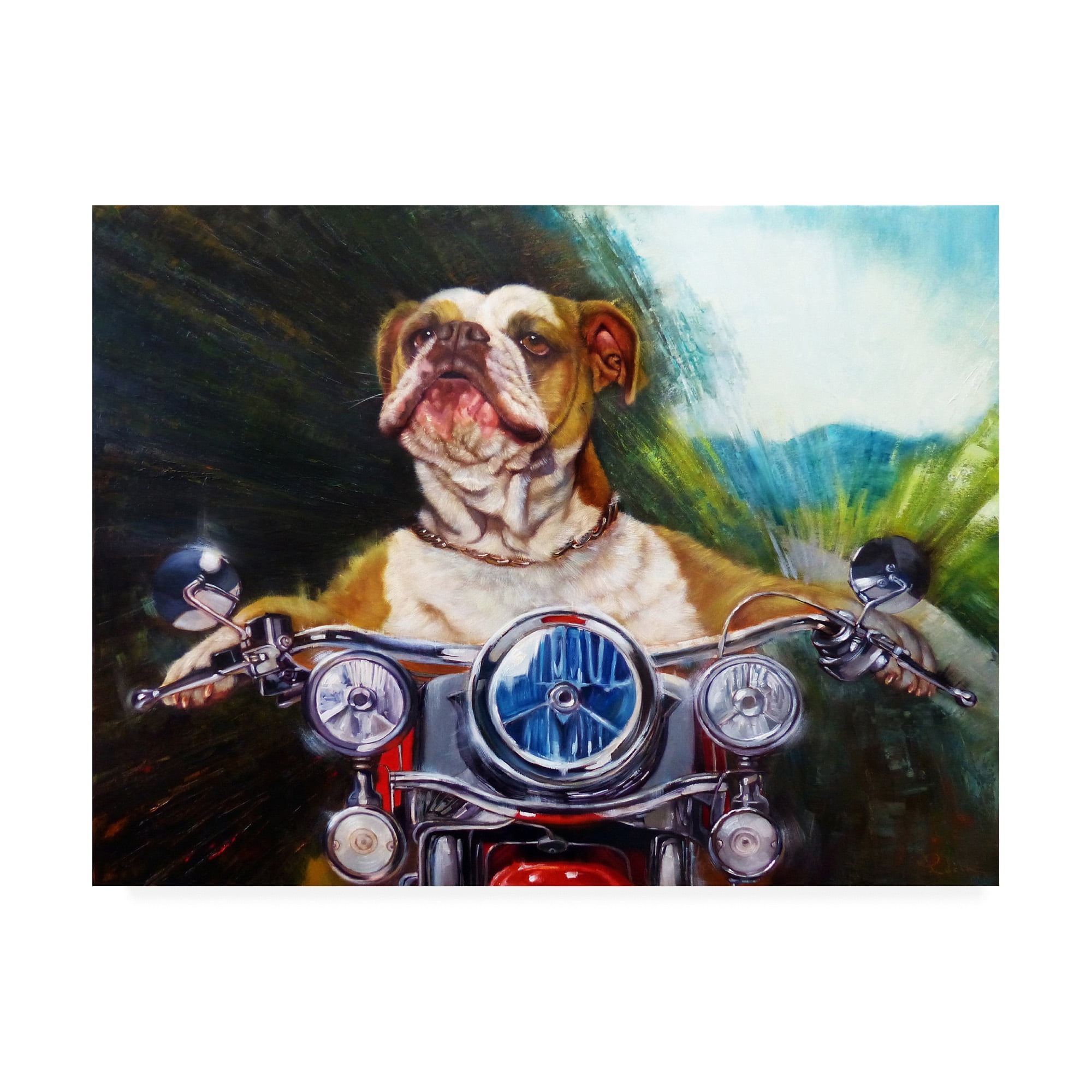 Trademark Fine Art 'Born To Be Wild Bulldog' Canvas Art by Lucia Hefferna