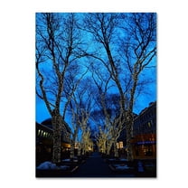 Trademark Fine Art "Boston 2" Canvas Art by CATeyes