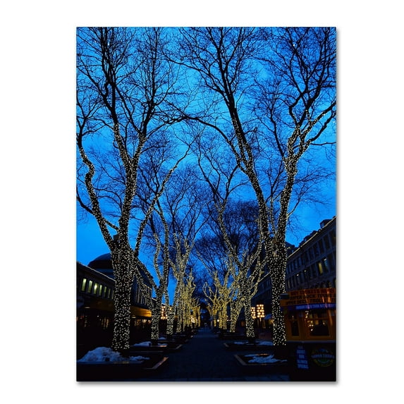 Trademark Fine Art "Boston 2" Canvas Art by CATeyes