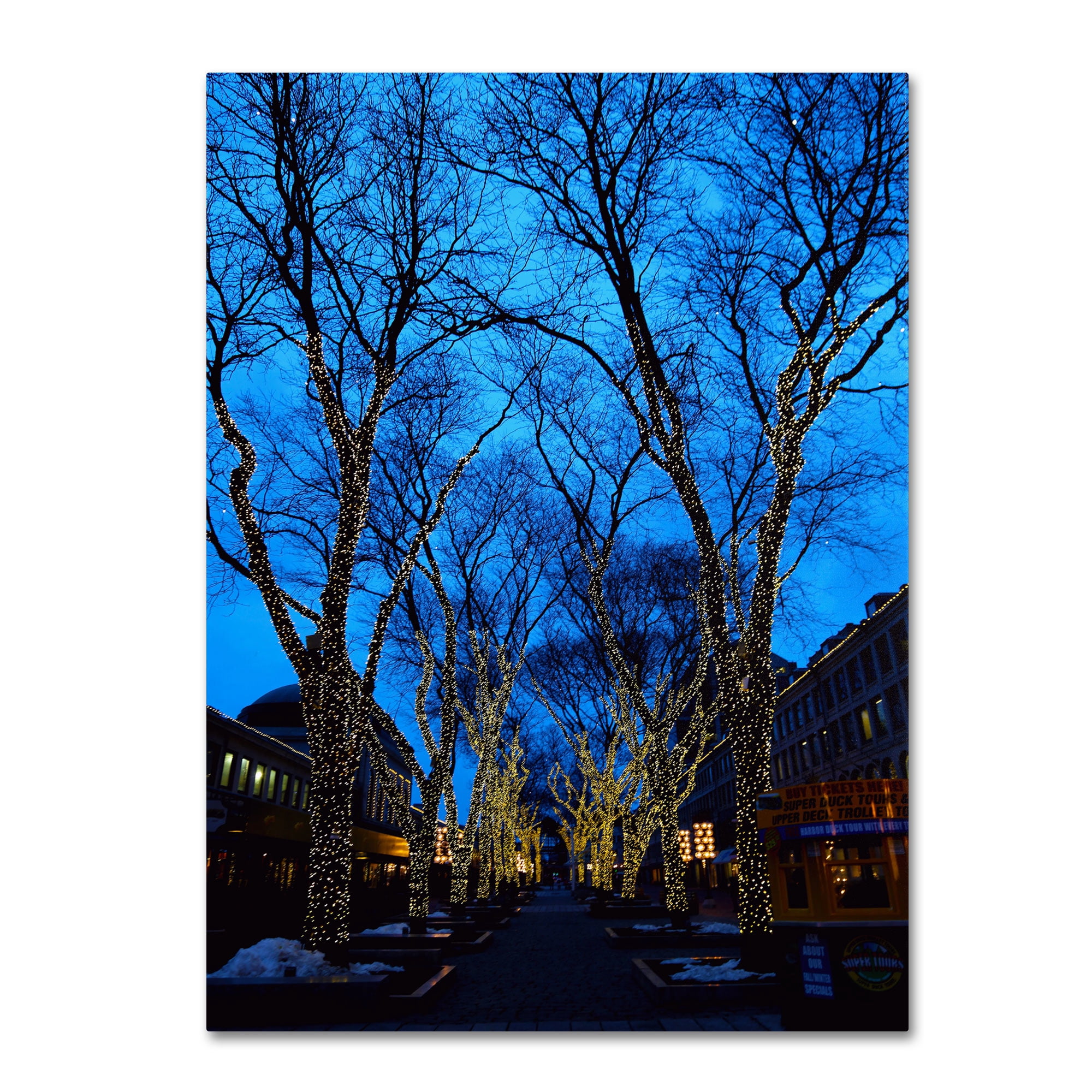Trademark Fine Art "Boston 2" Canvas Art by CATeyes
