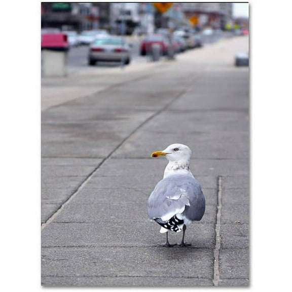 Trademark Fine Art "Boston 4" Canvas Art by CATeyes