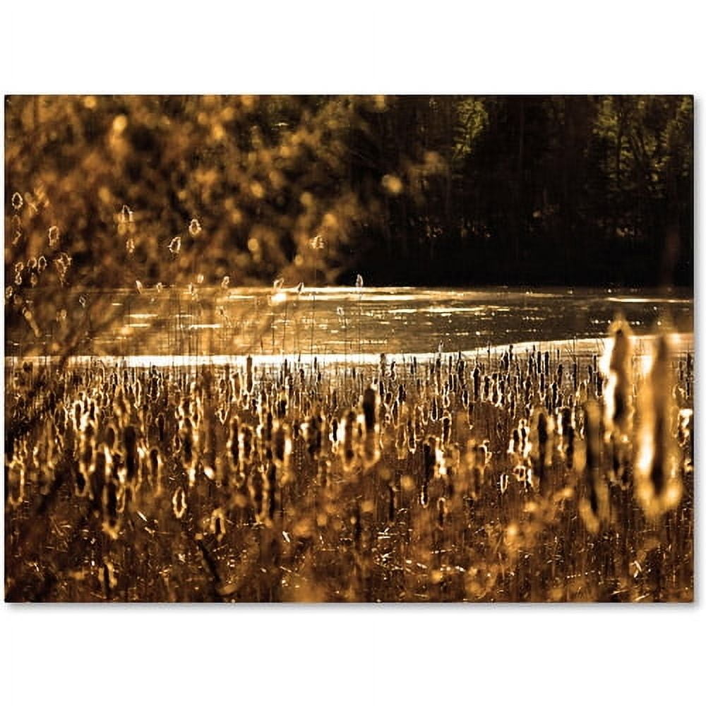Trademark Fine Art "Boston 6" Canvas Art by CATeyes