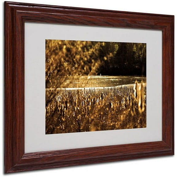 Trademark Fine Art "Boston 6" Matted Framed Art by CATeyes