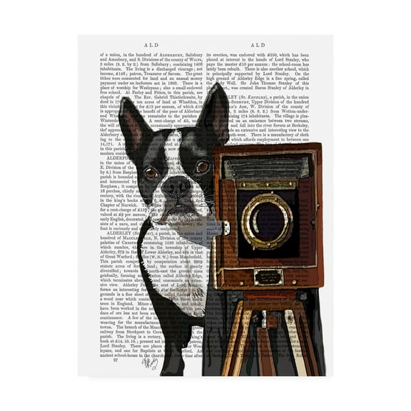 Trademark Fine Art 'Boston Terrier Photographer Camera' Canvas Art by Fab Funky