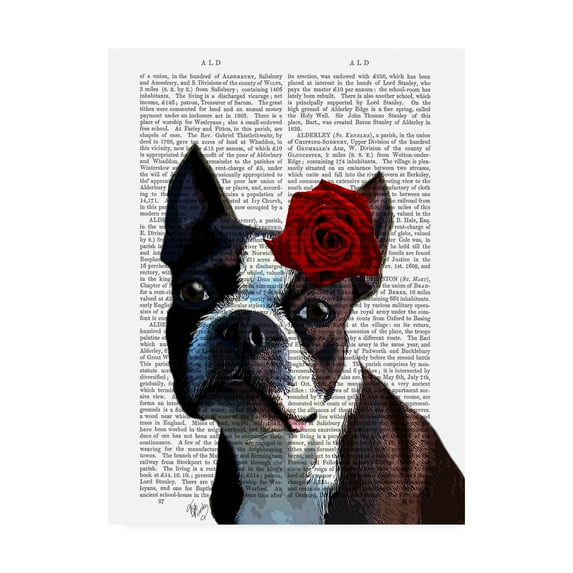 Trademark Fine Art 'Boston Terrier With Rose On Head In Book' Canvas Art by Fab Funky