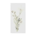 thumbnail image 1 of Trademark Fine Art 'Botanica Whimsy II' Canvas Art by June Erica Vess, 1 of 4