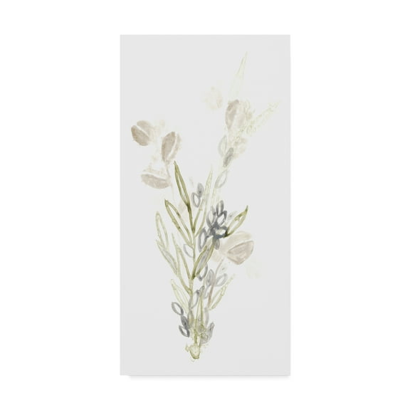 Trademark Fine Art 'Botanica Whimsy II' Canvas Art by June Erica Vess