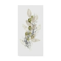 Trademark Fine Art 'Botanica Whimsy III' Canvas Art by June Erica Vess