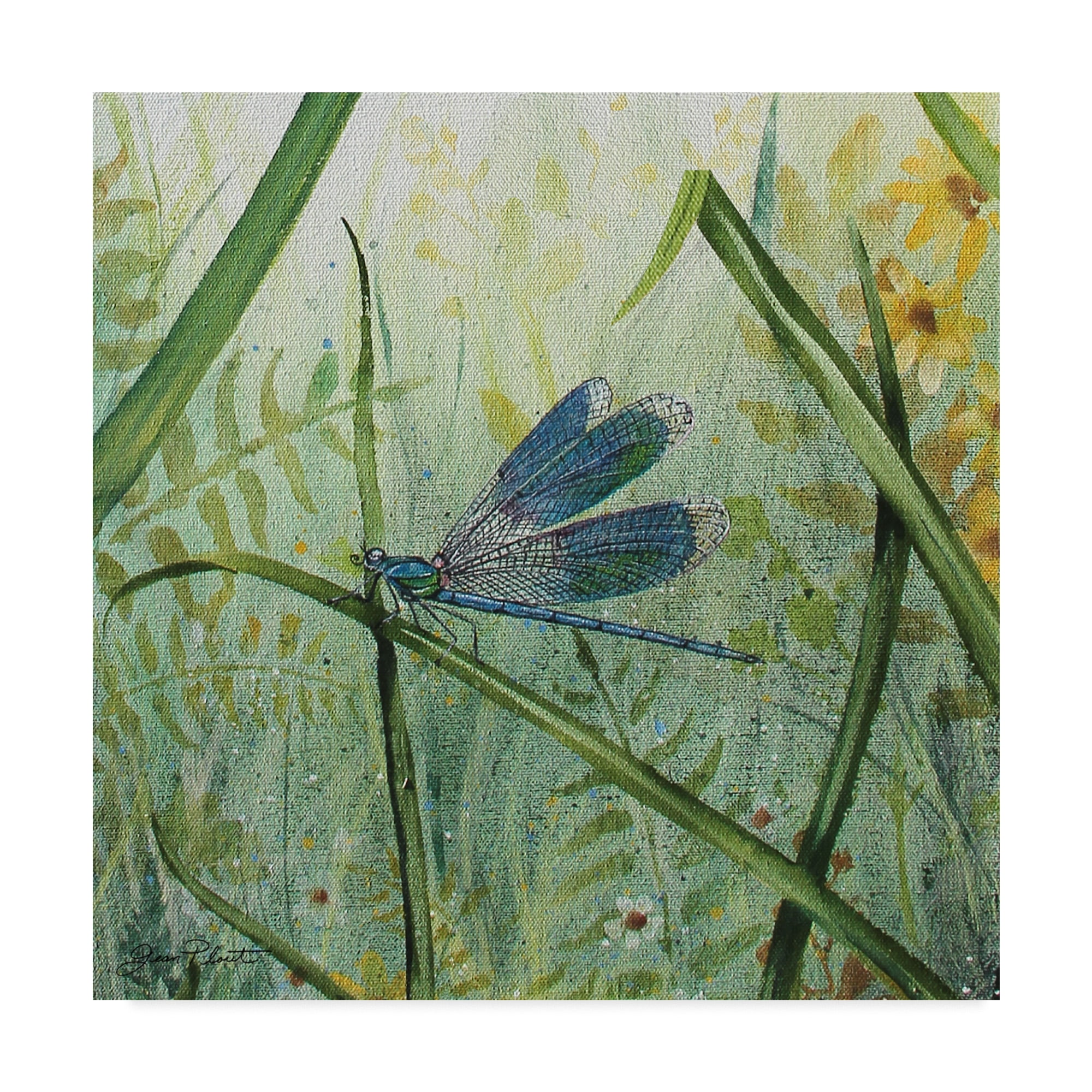 Trademark Fine Art 'Botanical Beauties 1' Canvas Art by Jean Plout