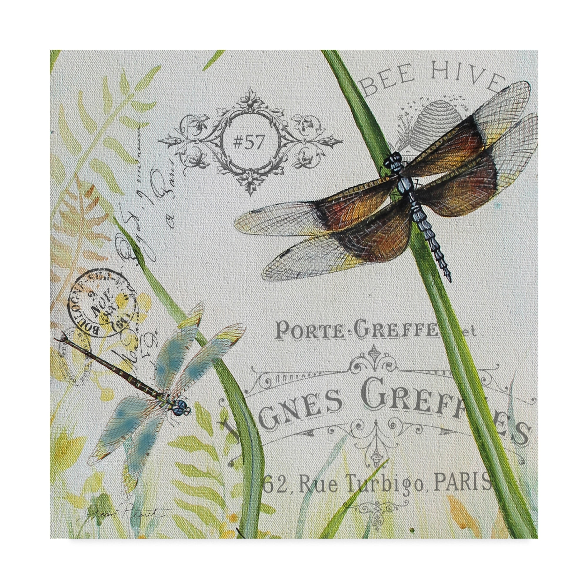 Trademark Fine Art 'Botanical Beauties 3' Canvas Art by Jean Plout
