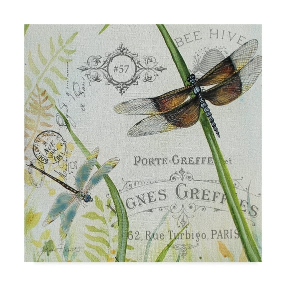 Trademark Fine Art 'Botanical Beauties 3' Canvas Art by Jean Plout