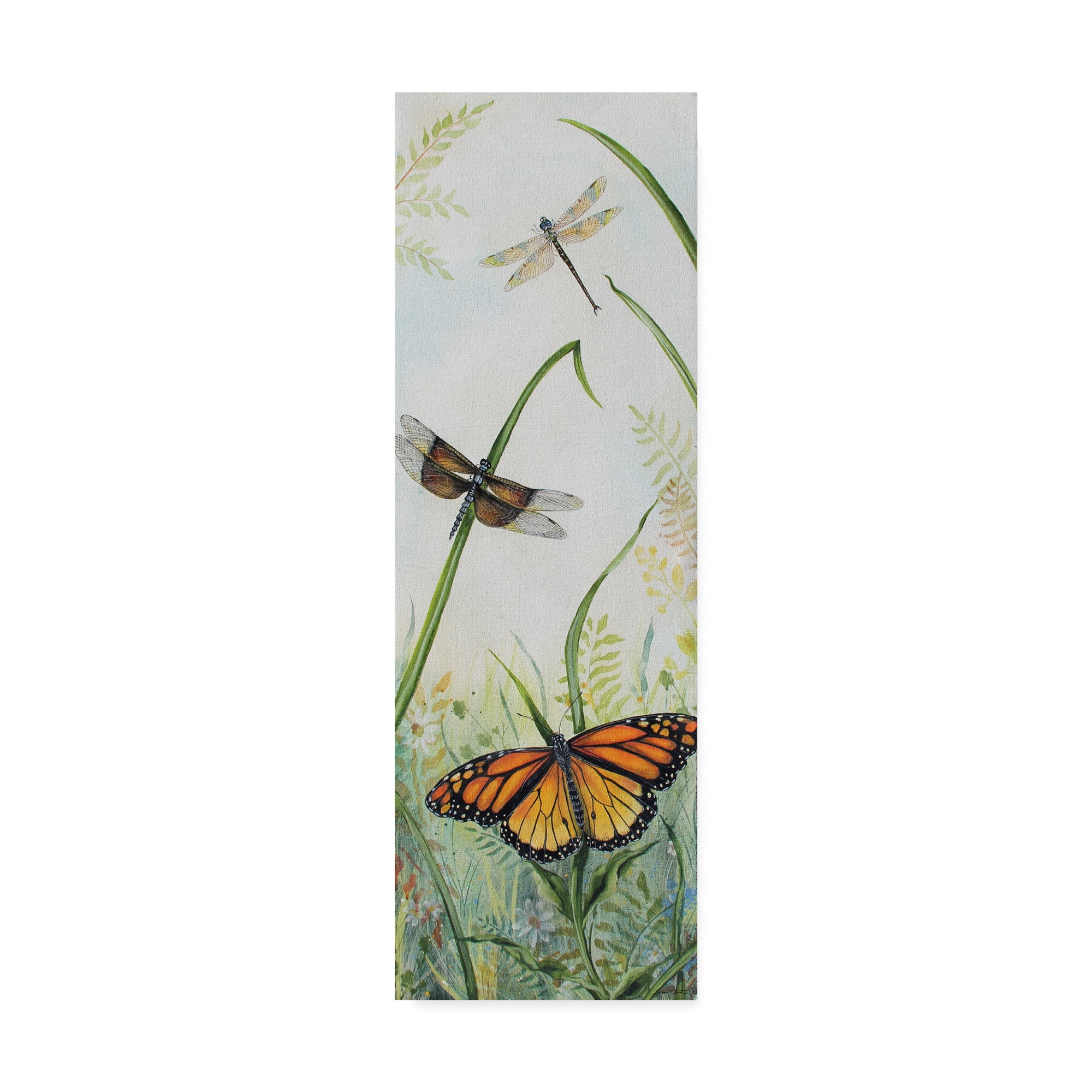 Trademark Fine Art 'Botanical Beauties 4' Canvas Art by Jean Plout