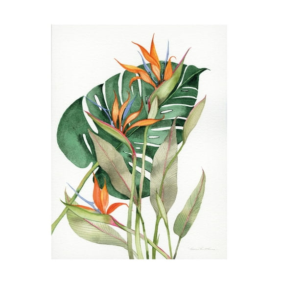 Trademark Fine Art 'Botanical Birds of Paradise' Canvas Art by Kathleen Parr McKenna