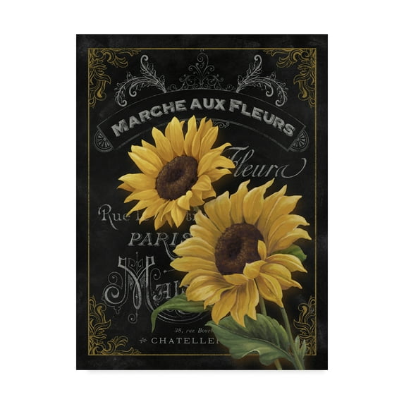 Trademark Fine Art 'Botanical Collection II' Canvas Art by Abby White