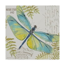 Trademark Fine Art 'Botanical Dragonfly 2' Canvas Art by Jean Plout