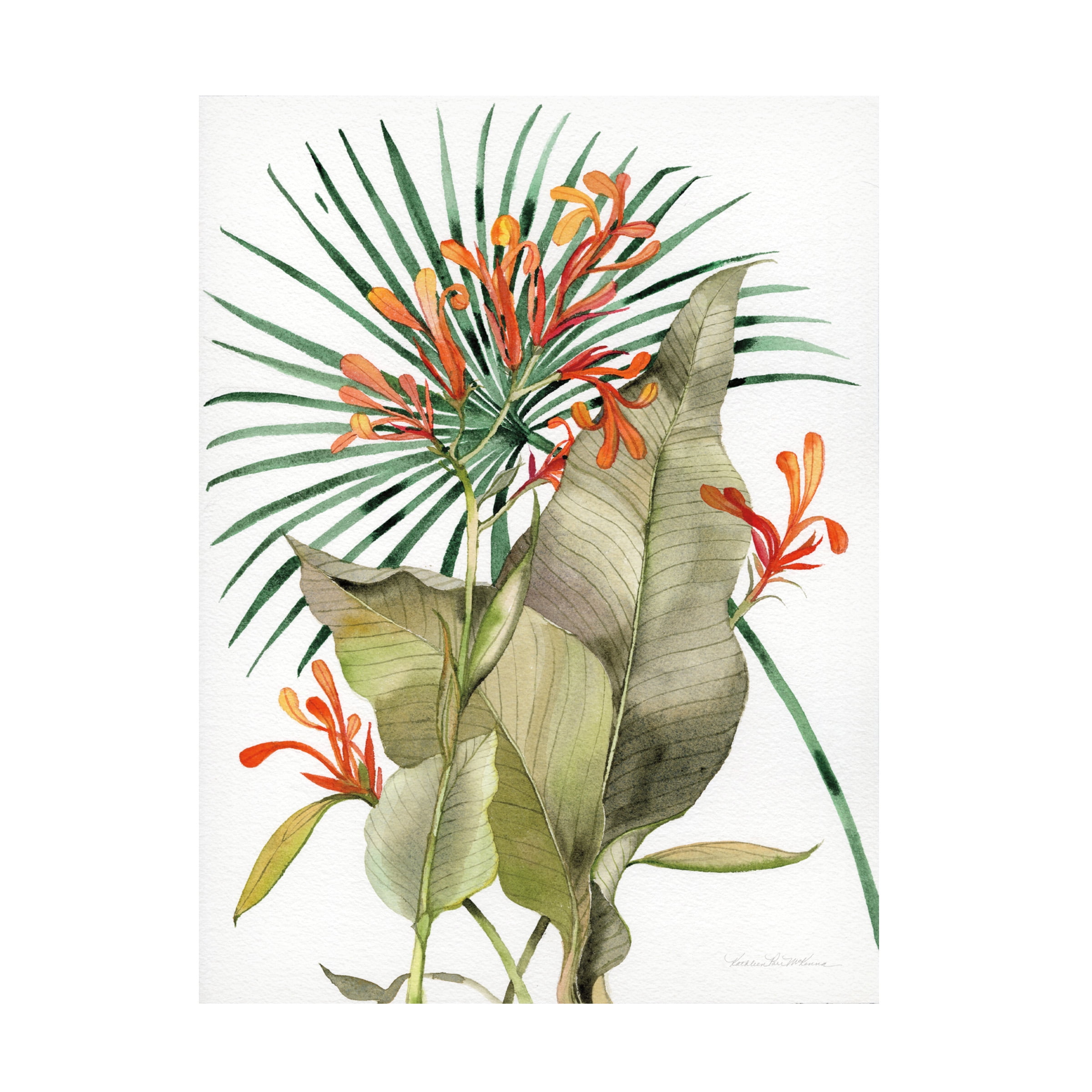 Trademark Fine Art 'Botanical Flame Lilies' Canvas Art by Kathleen Parr McKenna