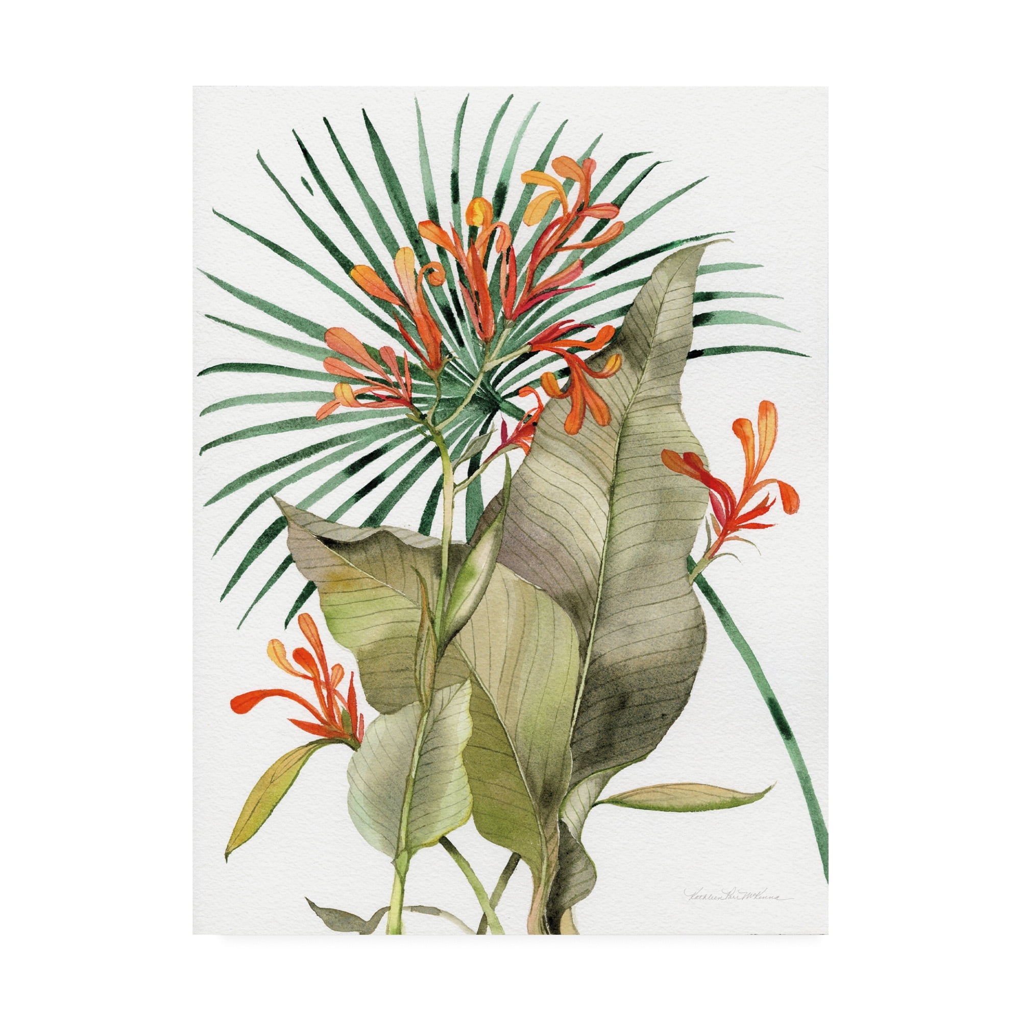Trademark Fine Art 'Botanical Flame Lilies' Canvas Art by Kathleen Parr McKenna