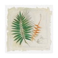 thumbnail image 1 of Trademark Fine Art 'Botanical Study II Light' Canvas Art by Avery Tillmon, 1 of 3