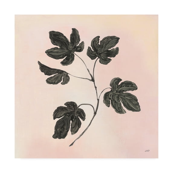 Trademark Fine Art 'Botanical Study III Blush' Canvas Art by Julia Purinton