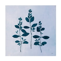 Trademark Fine Art 'Botanical Study IV Blue' Canvas Art by Julia Purinton