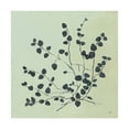 thumbnail image 1 of Trademark Fine Art 'Botanical Study VII Sage' Canvas Art by Julia Purinton, 1 of 3
