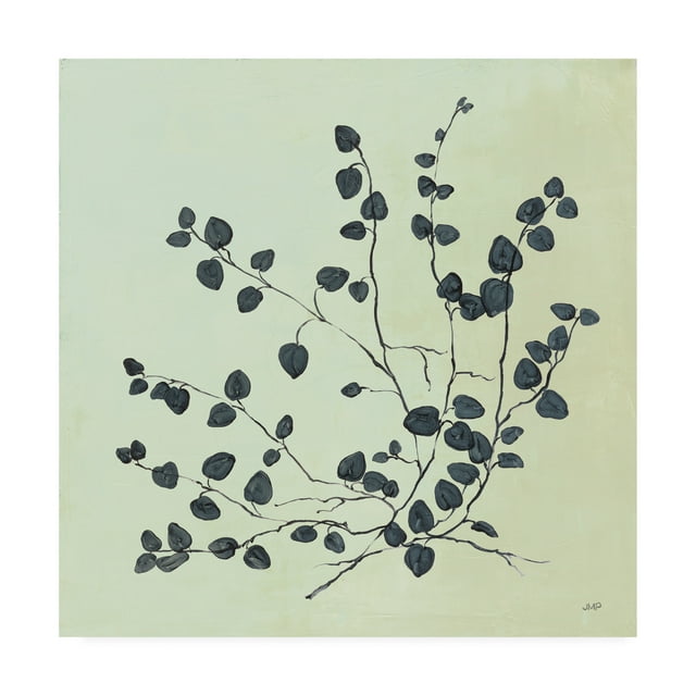 Trademark Fine Art 'Botanical Study VII Sage' Canvas Art by Julia Purinton