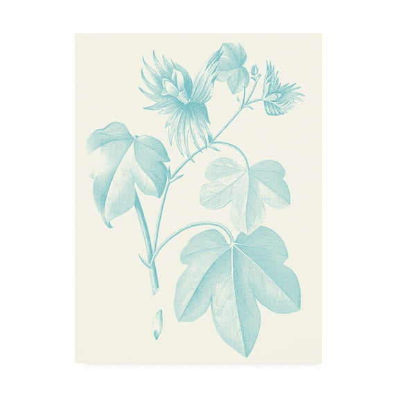 Trademark Fine Art 'Botanical Study in Spa IV' Canvas Art by Vision Studio