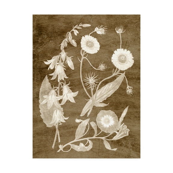 Trademark Fine Art 'Botanical in Taupe III' Canvas Art by Vision Studio