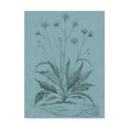 thumbnail image 1 of Trademark Fine Art 'Botanical on Teal IV' Canvas Art by Vision Studio, 1 of 4