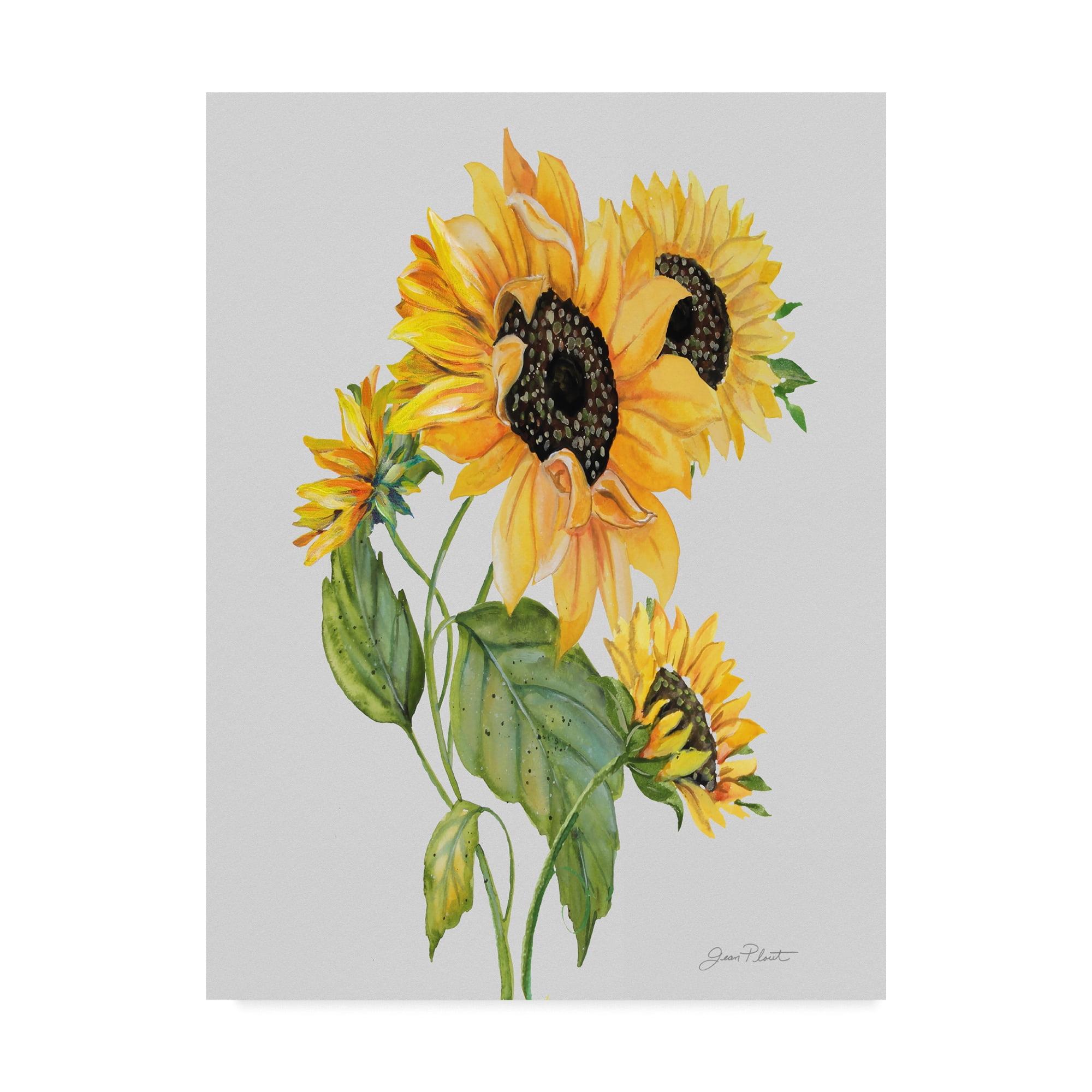 Trademark Fine Art 'Botanicals 10' Canvas Art by Jean Plout