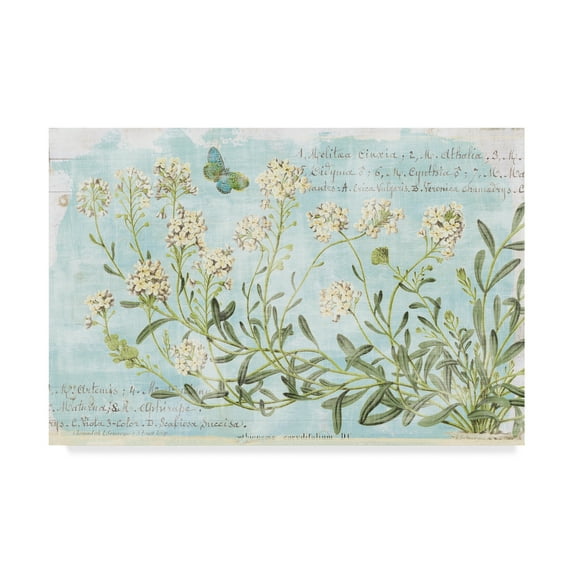 Trademark Fine Art 'Botany Blue I' Canvas Art by Sue Schlabach