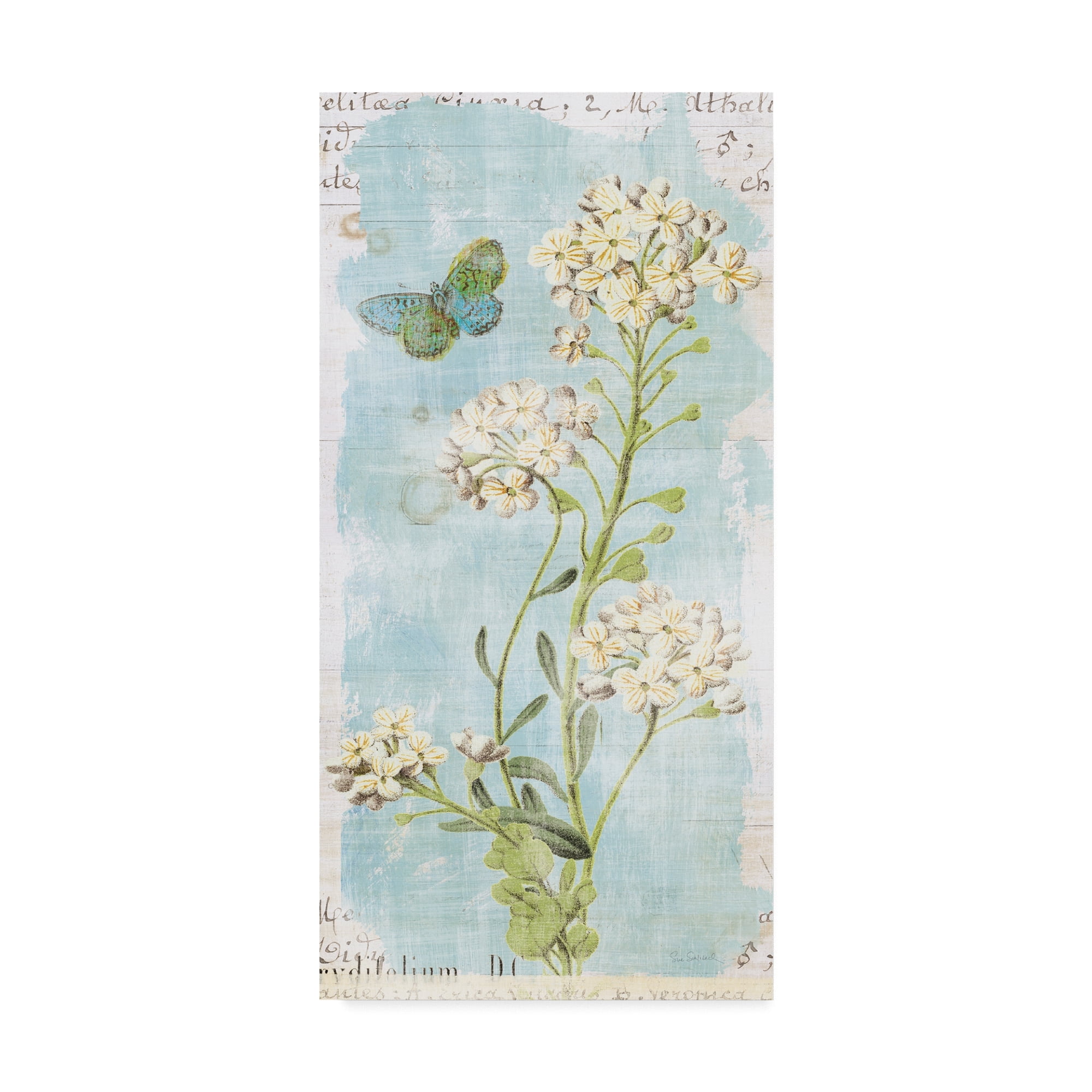 Sue Schlabach 'Botany Blue Iii' Canvas Art