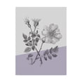 thumbnail image 1 of Trademark Fine Art 'Botany IV Color Block' Canvas Art by Wild Apple Portfolio, 1 of 3