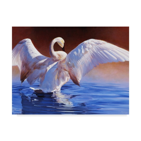 Trademark Fine Art 'Boudoir' Canvas Art by Julie T. Chapman