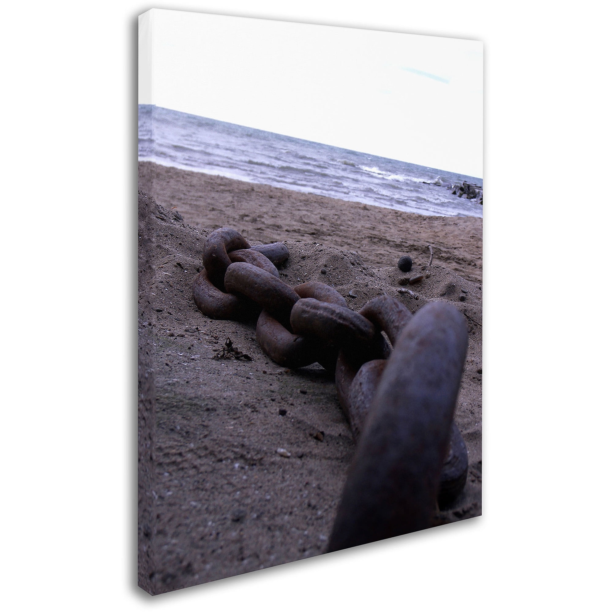 Trademark Fine Art "Boundless" Canvas Art by Monica Fleet