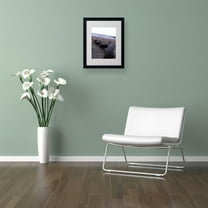 Trademark Fine Art "Boundless" by Monica Fleet, Black Frame