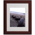 thumbnail image 1 of Trademark Fine Art "Boundless" by Monica Fleet, Wood Frame, 1 of 1