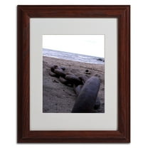Trademark Fine Art "Boundless" by Monica Fleet, Wood Frame