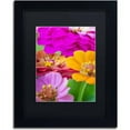 thumbnail image 1 of Trademark Fine Art "Bouquet of Inias" Canvas Art by Philippe Sainte-Laudy, Black Matte, Black Frame, 1 of 5