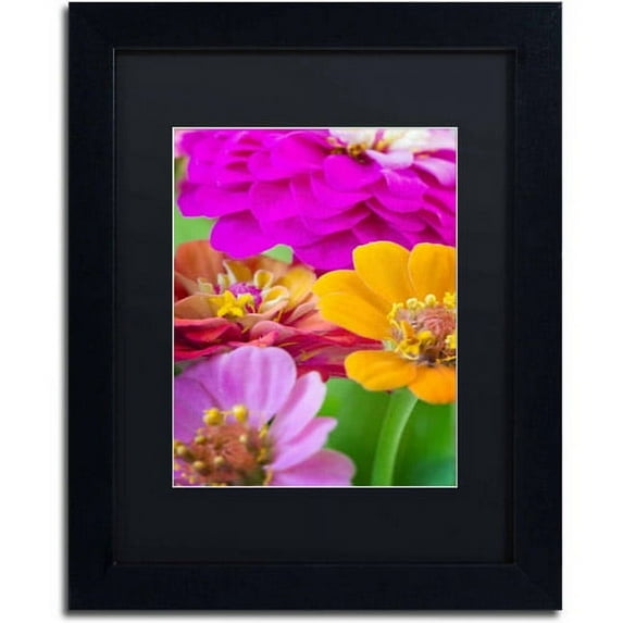 Trademark Fine Art "Bouquet of Inias" Canvas Art by Philippe Sainte-Laudy, Black Matte, Black Frame