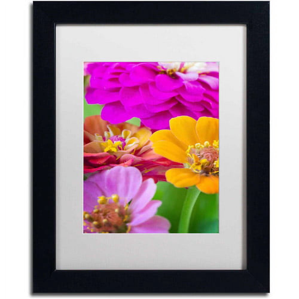 Trademark Fine Art "Bouquet of Inias" Canvas Art by Philippe Sainte-Laudy, White Matte, Black Frame