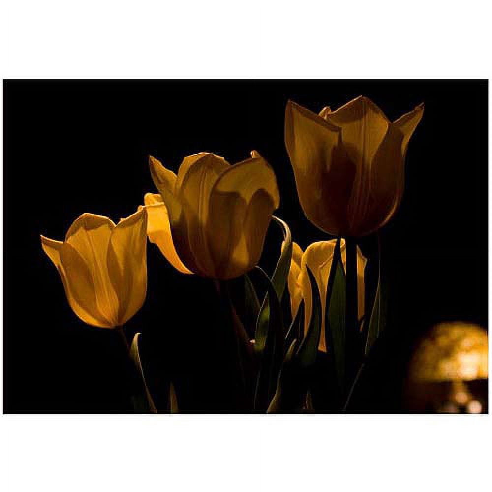Trademark Fine Art "Bouquet of Tulips" Canvas Art by Martha Guerra, 22x32