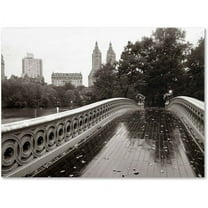 Trademark Fine Art "Bow Bridge 2010" Canvas Art by Chris Bliss