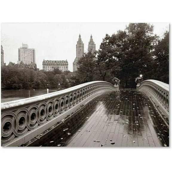 Trademark Fine Art "Bow Bridge 2010" Canvas Art by Chris Bliss