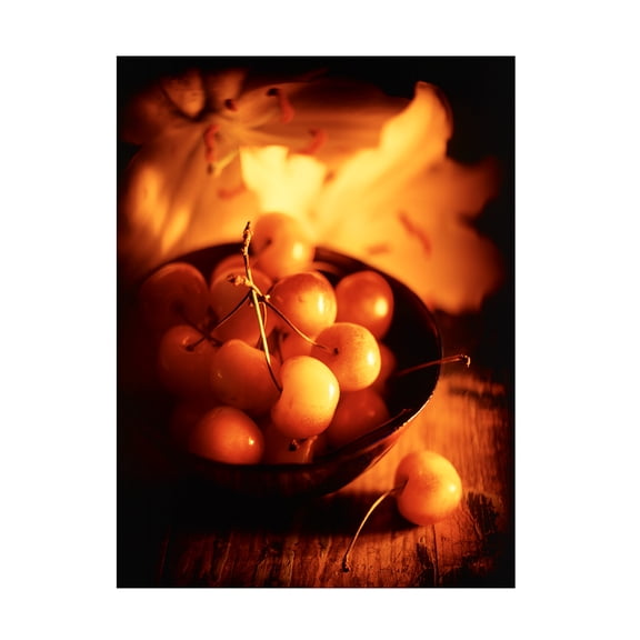 Trademark Fine Art 'Bowl Of Cherries' Canvas Art by Joe Felzman Photography
