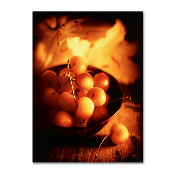 Trademark Fine Art 'Bowl Of Cherries' Canvas Art by Joe Felzman Photography